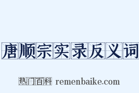 唐顺宗实录反义词是什么意思的图片
